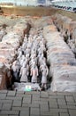 Exhibition of the famous Chinese Terracotta Army in Xian China Royalty Free Stock Photo